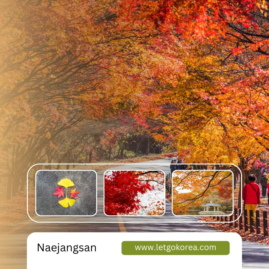 Naejangsan